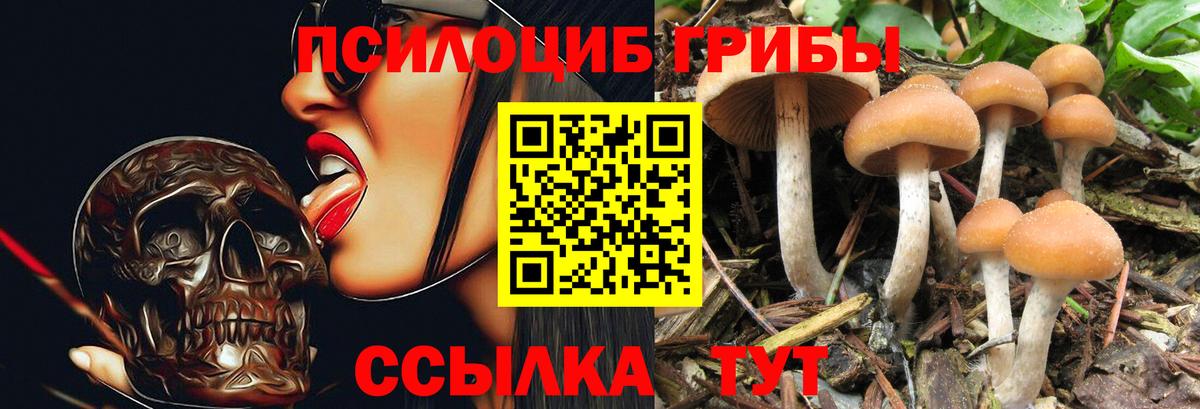 Галлюциногенные грибы Cubensis Кыштым
